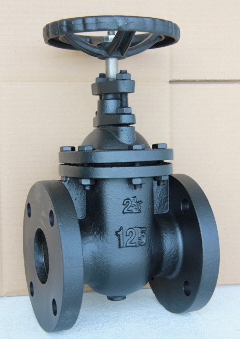 Non-Rising Stem Gate Valve