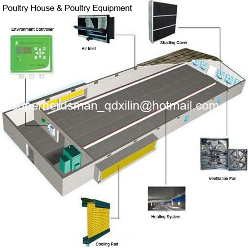 High Quality Automatic Equipment for Broiler Poultry House