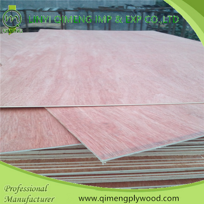 Poplar/Hardwood Core Bbcc Grade 3mm Bintangor Plywood with Cheap Price