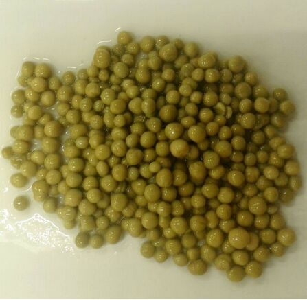 Vegetable, Canned Green Pea with Best Price