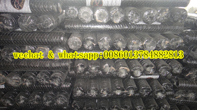 Galvanized Hexagonal Wire Mesh (Chiken Nettting)