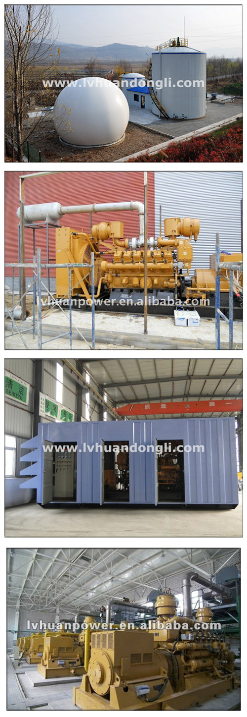 Cow Manure Biogas Power Plant Biogas Gas Engine Electric Power Gas Generator