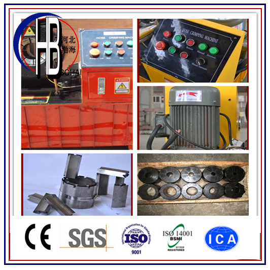 China Factory Professional Manufacture 1/4''~2'' Hydraulic Hose Swaging Machine!