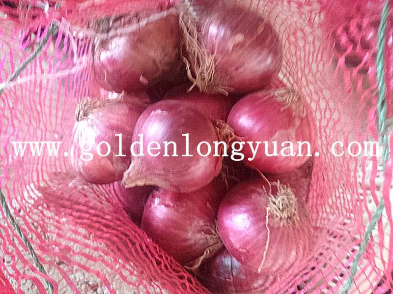 Shandong New Harvest Fresh Red Onion