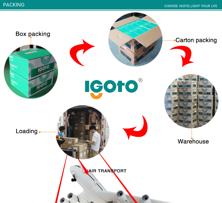 Igoto L Series South America Electrical Socket Type Tel Socket