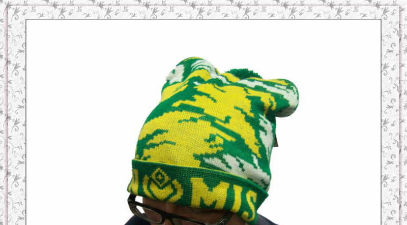 New Style Knitted Beanie Hat with Cartoon Pattern (1-3585)
