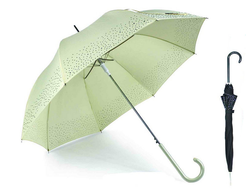 Border Print Straight Automatic Birdcage Umbrella (YS-SA23083919R)