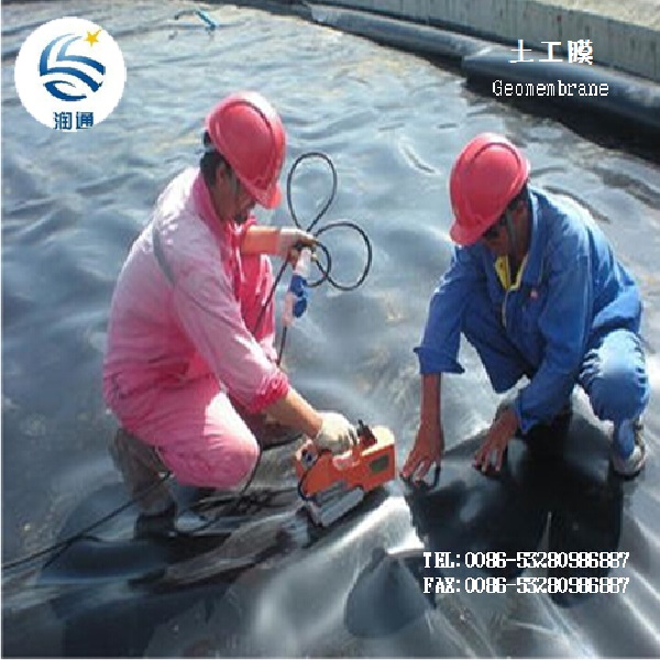 Manufacture Fish Farm Pond Liner HDPE Geomembrane LDPE EVA