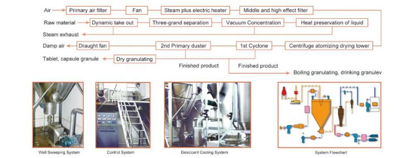 Zlpg Series Spray Dryer for Chinese Herbal Medicine Extract