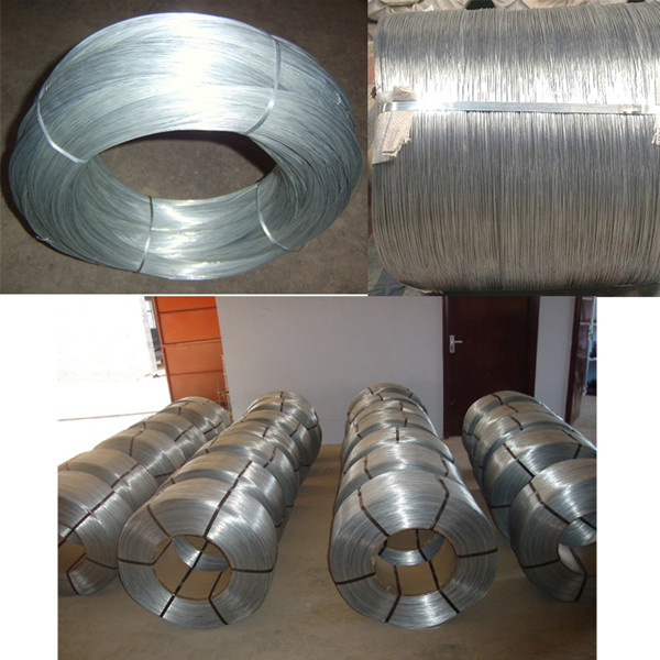 Low Price and High Quality Hot-Dipped Galvanized Iron Wire (TYC-021)