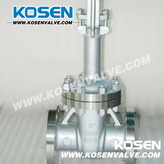 API 600 Cryogenic Gate Valves (Z40Y)