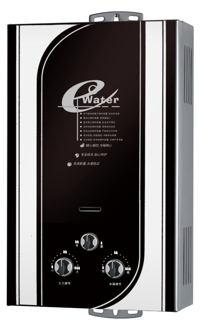 Flue Type Instant Gas Water Heater/Gas Geyser/Gas Boiler (SZ-RS-53)