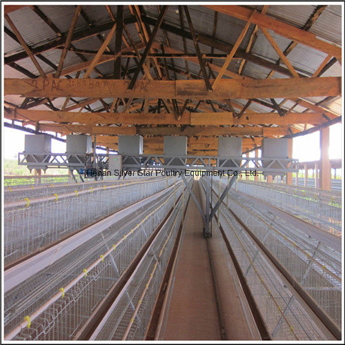 Galvanized Iron Wire Layer Chicken Cage for Africa Farms (A3L90)