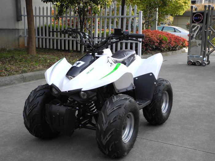 49cc Mini Quad ATV