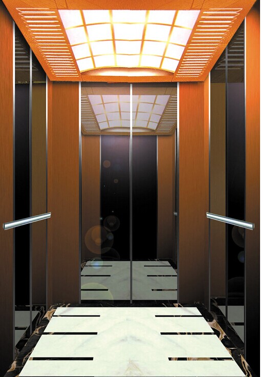 Hariline Finished Stainless Steel Elevator