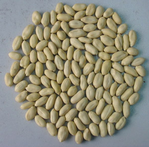 New Crop Chinese Blanched Peanut Kernels