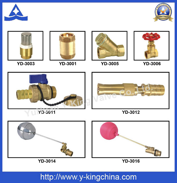 Brass Spring Check Valve with Ss Filter (YD-3003)