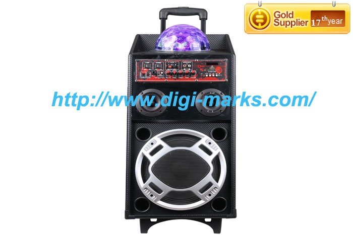 17 Years Supplier Super Bass Wireless Trolley Stage Speaker