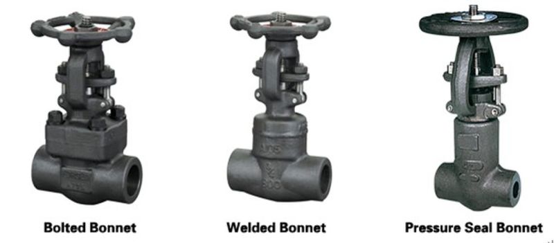 GB Standard 800 Lbs A105 Forged Steel Gate Valve