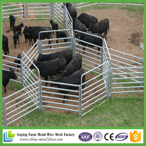 Portable Yard Panel 6 Oval Rail - Cattle Yards Horse Panels