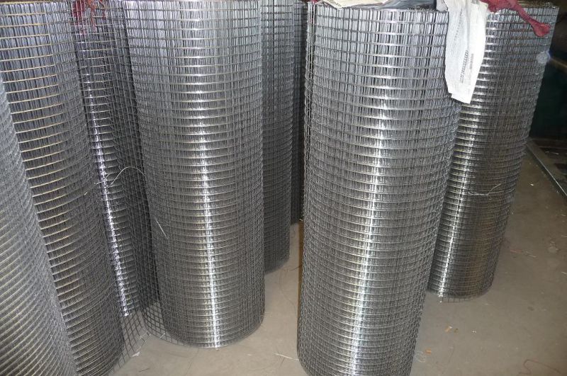 China Supply professional Stainless Steel Welded Wire Mesh/Galvanized Welded Wire Mesh /PVC Welded Wire Emsh