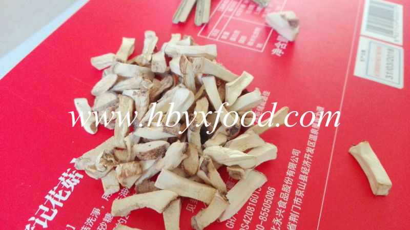 Healthy Dried Food Champignon Granules