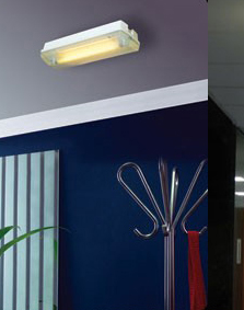 Security Light, LED Light, LED Emergency Light