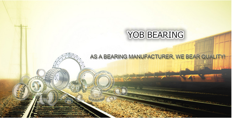 Best Design Needle Roller Bearing Bearing Na4906 Bearing