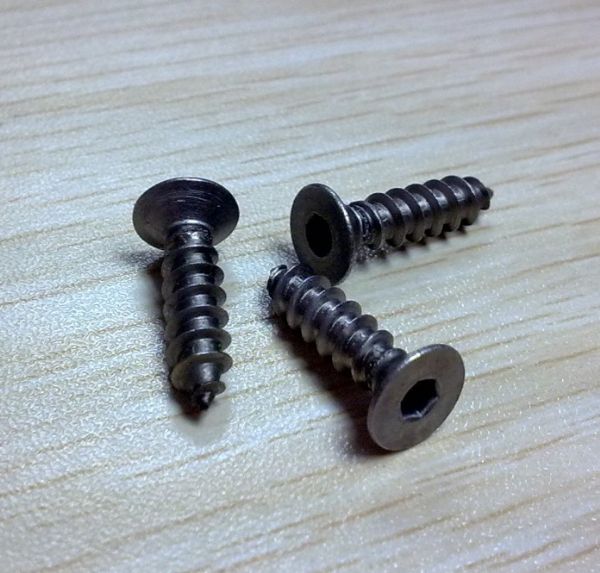 Torx Socket Head Self Tapping Screw (M4~M64)