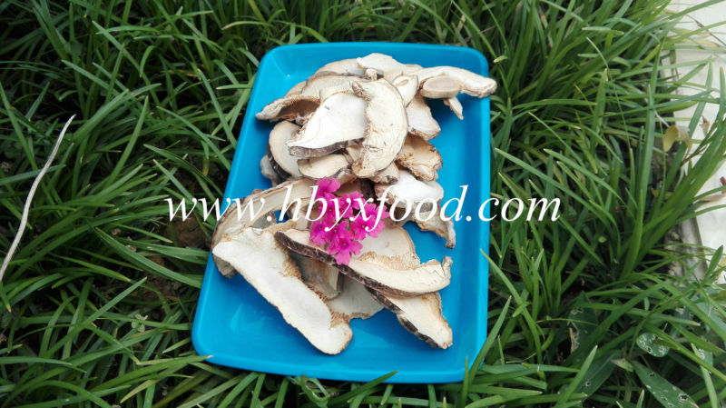 2015 Bulk Dried Mushrooms Shiitake Slice in 15 Kgs Bag Pack