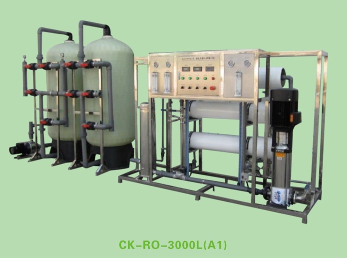 Chunke PLC Control RO Water Treatment/Drinking Water System 3000L/H