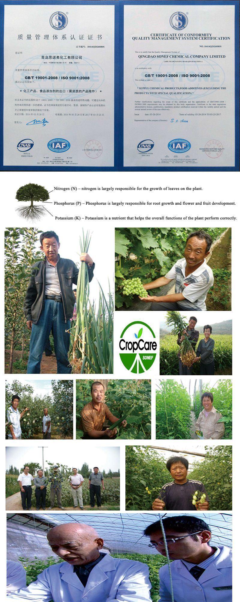 NPK 10-10-10/20-20-20/15-15-15/17-17-17100% Water Soluble Fertilizer