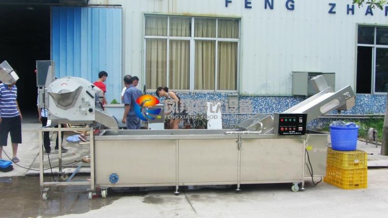 High Output Automatic Cabbage Dicing Washing Production Line