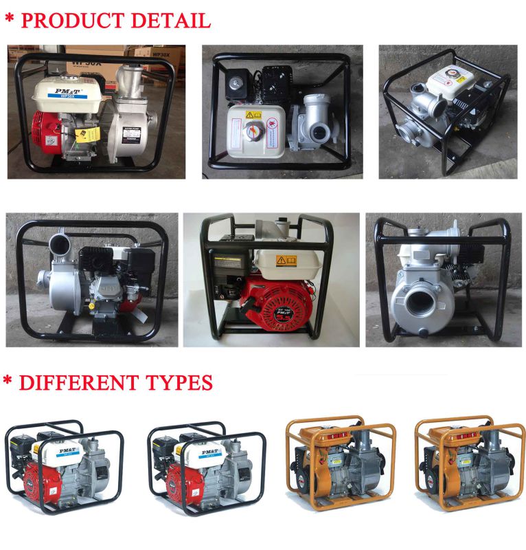 Pmt Water Pump for Agricultural Use with CE (PMT20X)