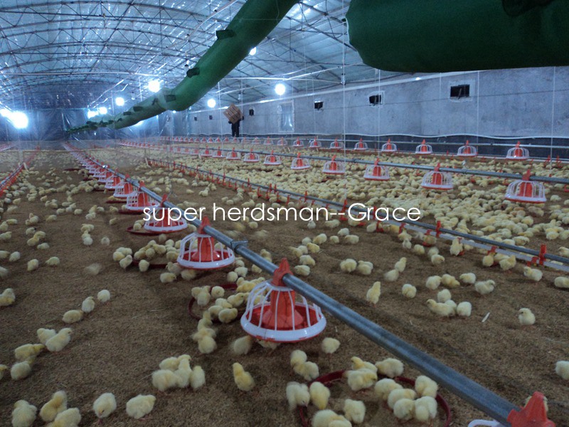 Full Set Automatic Broiler Farm Machinery &Equipment