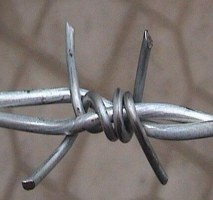 Good Quality Galvanized Barbed Iron Wire