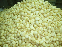 1 Kg /Barre Fresh Peeled Garlic Hot Sale