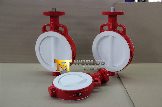 Full PTFE Coated Wafer Butterfly Valve with Bare Stem (CBF04-TA01)