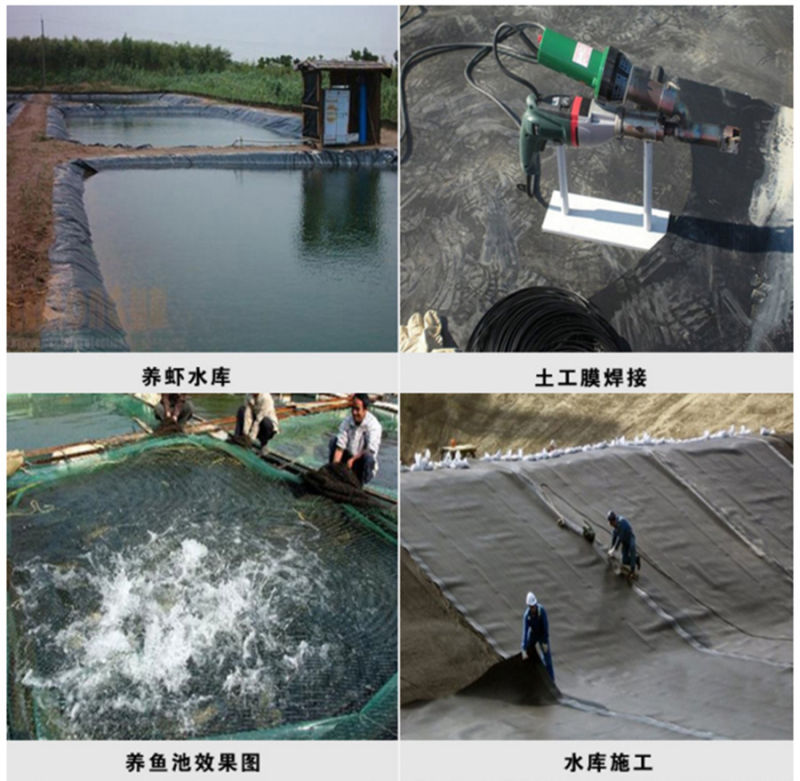 HDPE Geomembrane HDPE Film of Stewpond