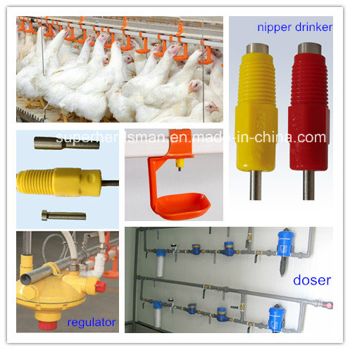 Automatic Poultry Control Shed Equipment for Broiler Chicken