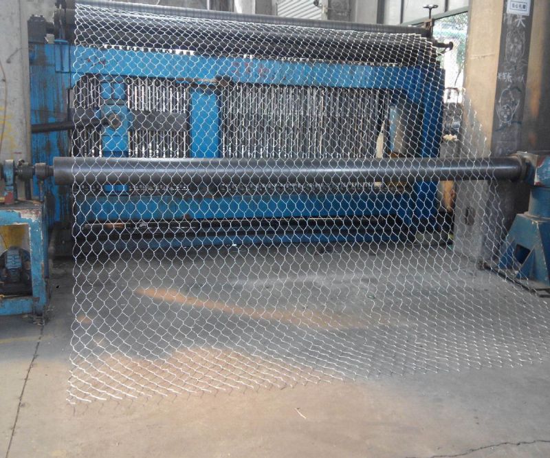 Hexgaonal Wire Mesh/Stucco Mesh