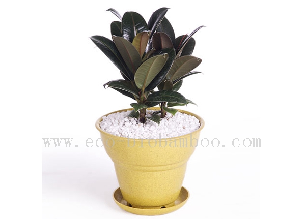 Biodegradable Natural Bamboo Fiber Flower Pot (BC-F1001)