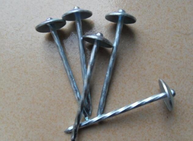 China Manufacturer High Quality Umbrella Head Roofing Nails