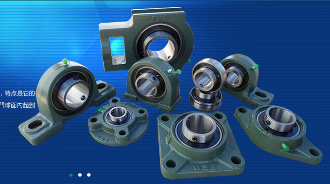 ISO Certified Pillow Block Bearing (UCF205)