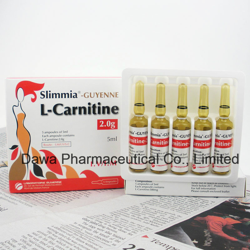 High Quality of L-Carnitine Injection for Body Slimming and Losing Weight Weight Loss