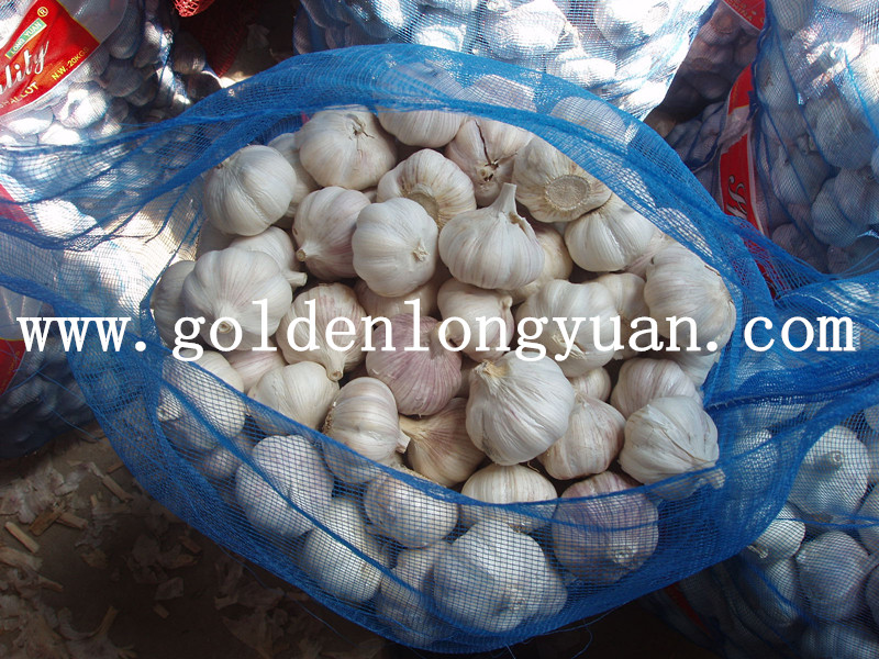 4.5cm Normal White Garlic Packed with 10kg Mesh Bag