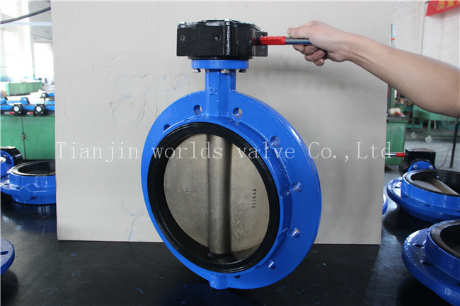 ISO5752 Series16 Monoflange Butterfly Valve with Ce ISO Wras Approved (D41X-10/16)