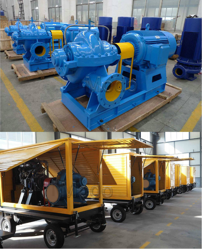 Centrifugal Double Suction Split Case Diesel Water Pump