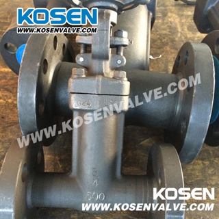 Forged Bellow Sealed Gate Valves (WZ41)