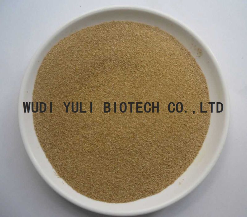 Choline Chloride 60 Corn COB Feed Additive Low Price